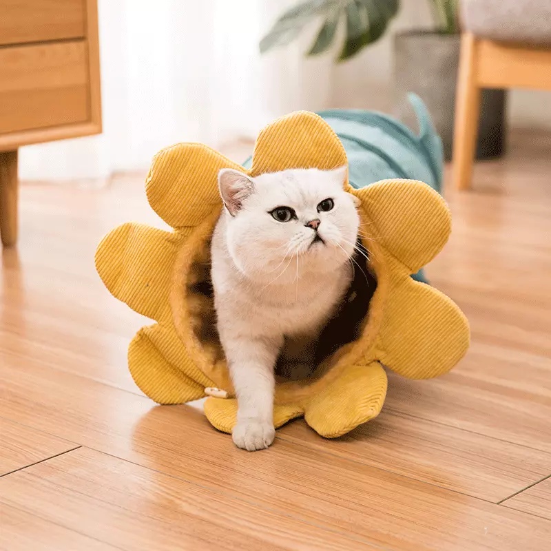 Pet Toys