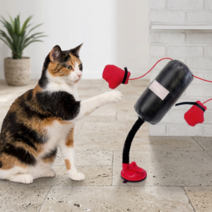 Durable Interactive Cat Boxing Toy with Punching Bag